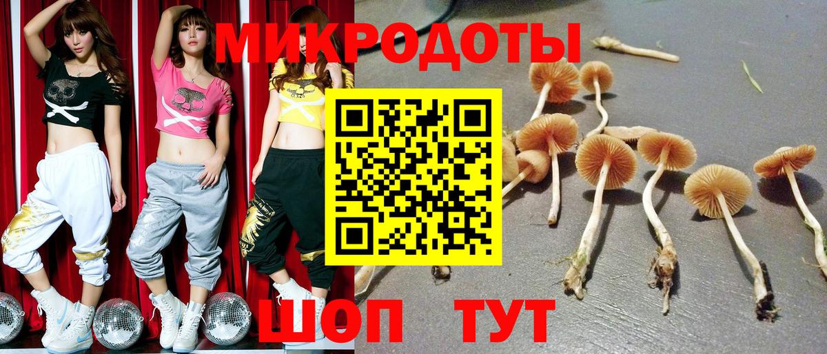 Рубцовск  Псилоцибиновые грибы Magic Shrooms  Вход с VPN 